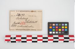 Etikett zu Bronzeknotenarmreif (NHMW-PRAE-026273)
